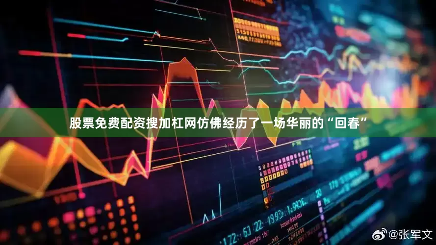 股票免费配资搜加杠网仿佛经历了一场华丽的“回春”