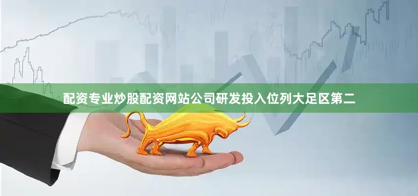 配资专业炒股配资网站公司研发投入位列大足区第二