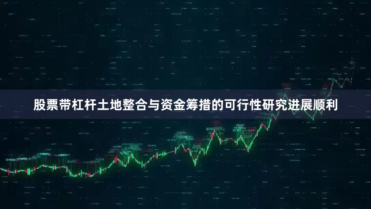 股票带杠杆土地整合与资金筹措的可行性研究进展顺利