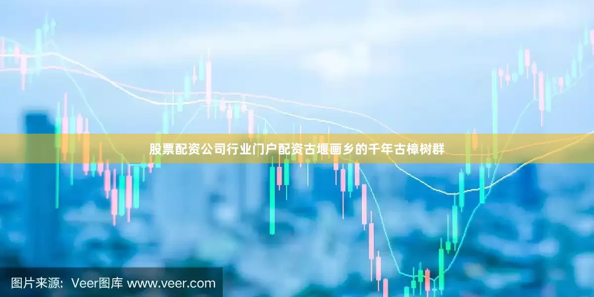 股票配资公司行业门户配资古堰画乡的千年古樟树群